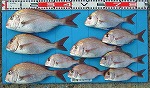 釣果