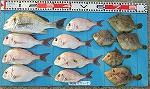 釣果