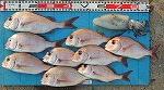 釣果
