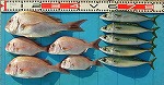 釣果