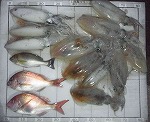 釣果