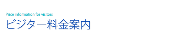 ページタイトル