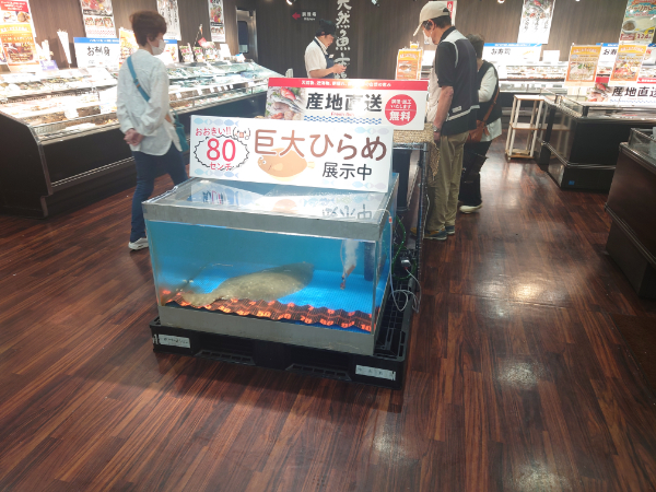 6月21日（金）今日の一言コメント