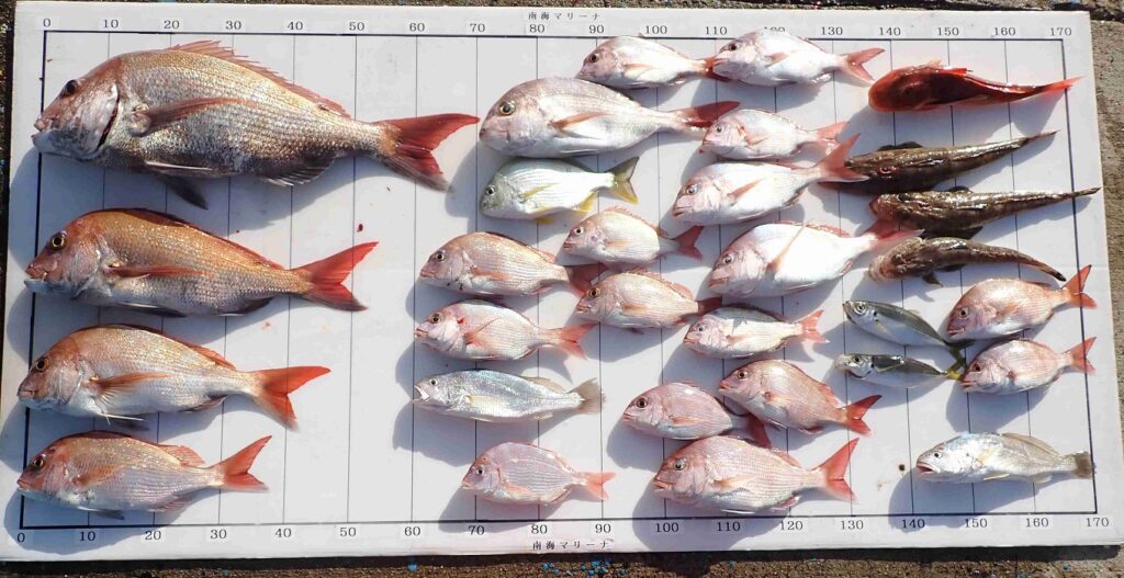 2024年秋の釣り大会の結果発表