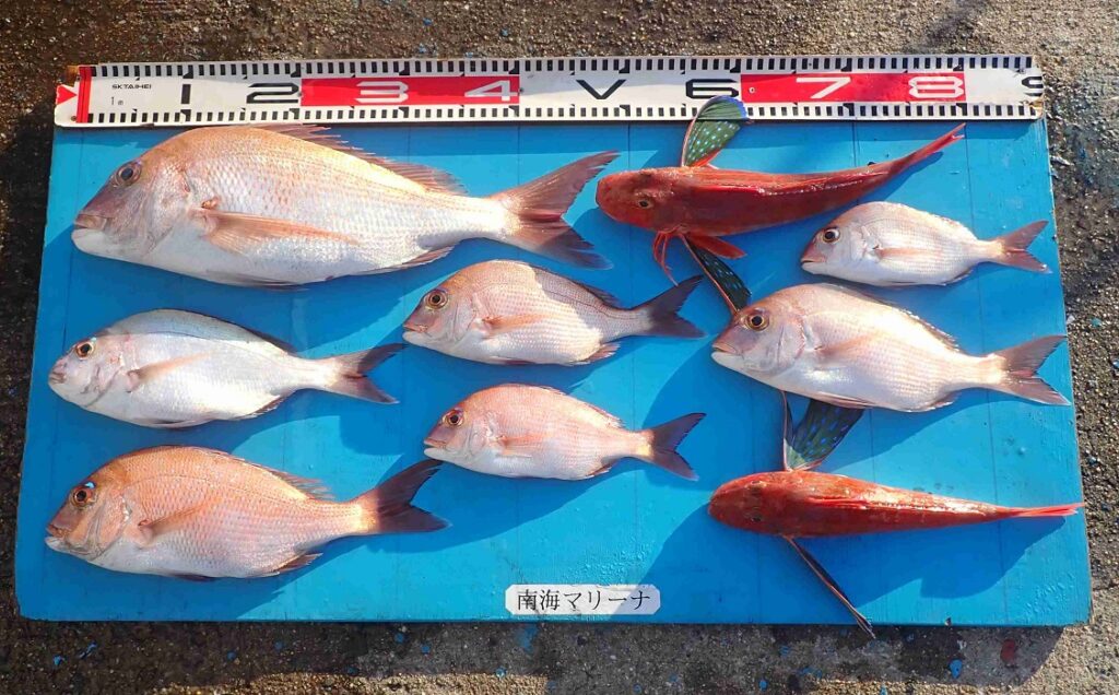 2025.10.29 タカナさん