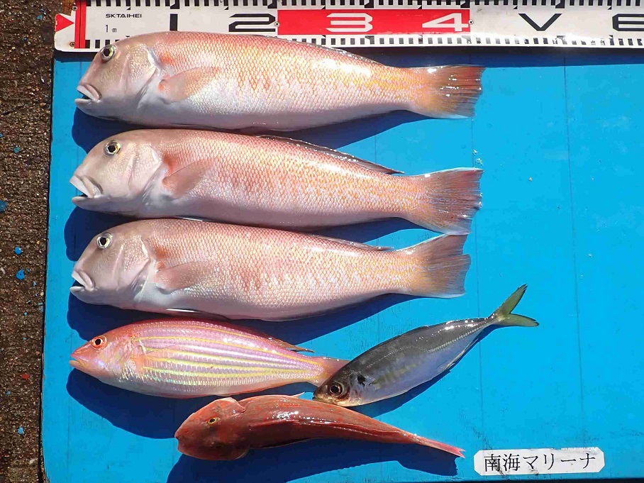 2025.10.29 H&Tさん