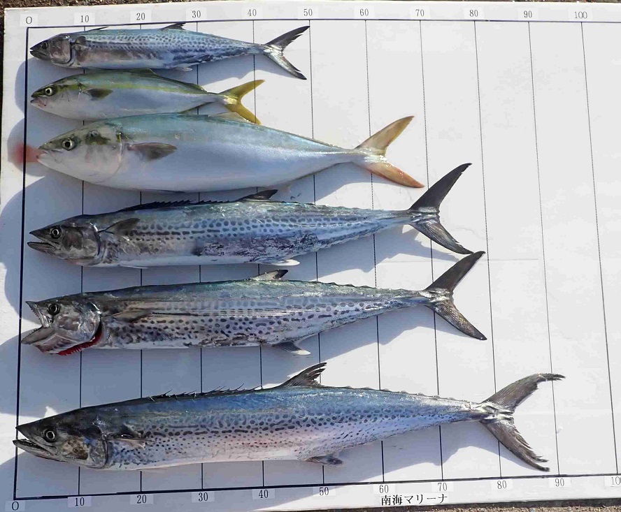 2025.10.30 HIROYANさん