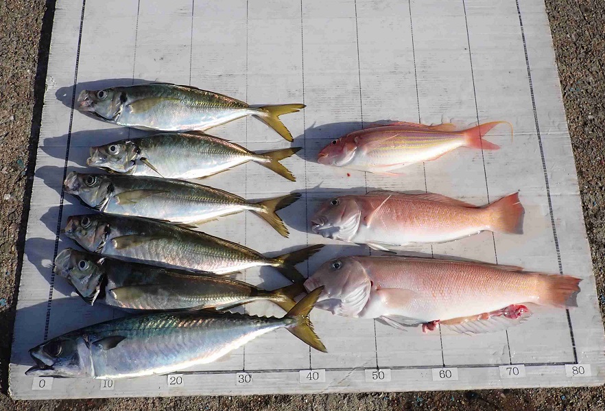 2025.11.16 ほのかさん