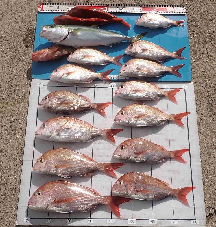 2025.11.1 こうめ丸さん