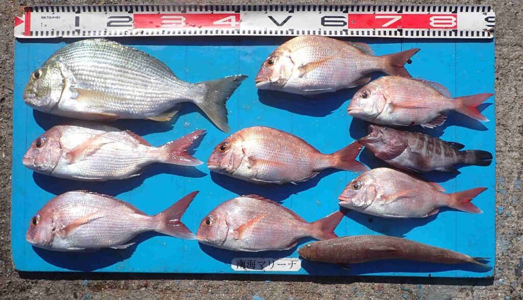 2025.11.1 Sunny voyageさん