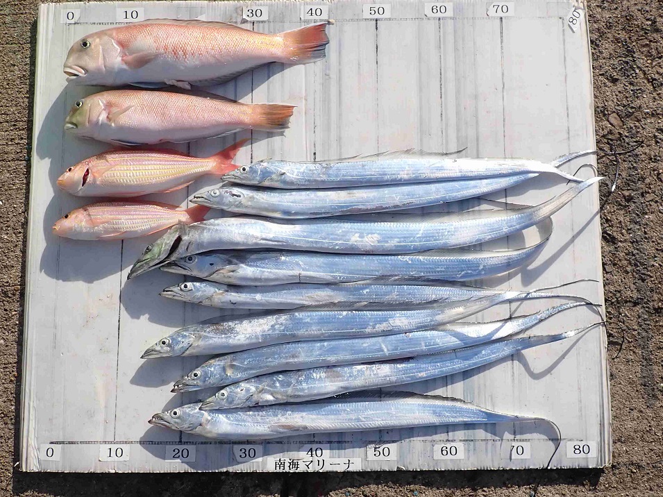 2025.11.23 ﾃﾋﾞﾗ丸さん