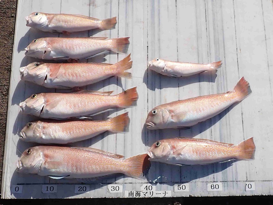 2025.11.23 shierunoさん