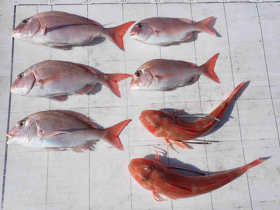 2025.11.23 LEOさん