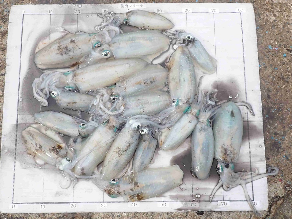 2025.11.2 ちびﾗﾒｰﾙさん