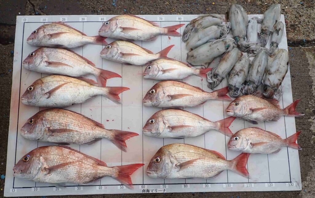 2025.11.2 心結丸さん