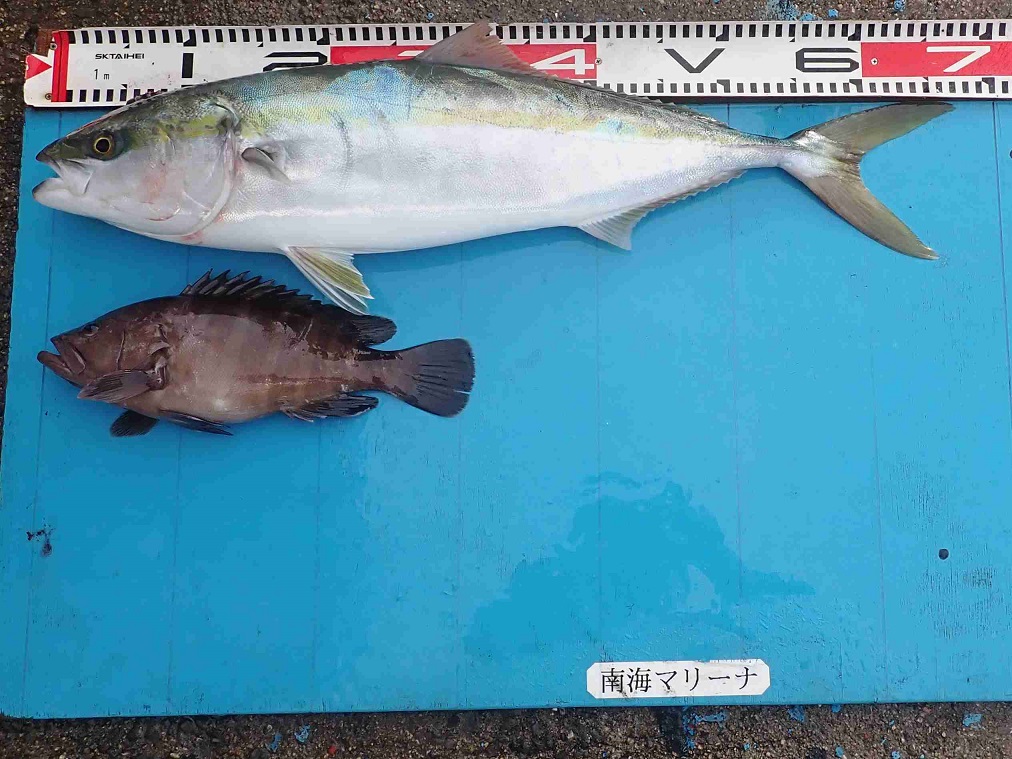 2025.11.2 cleverさん