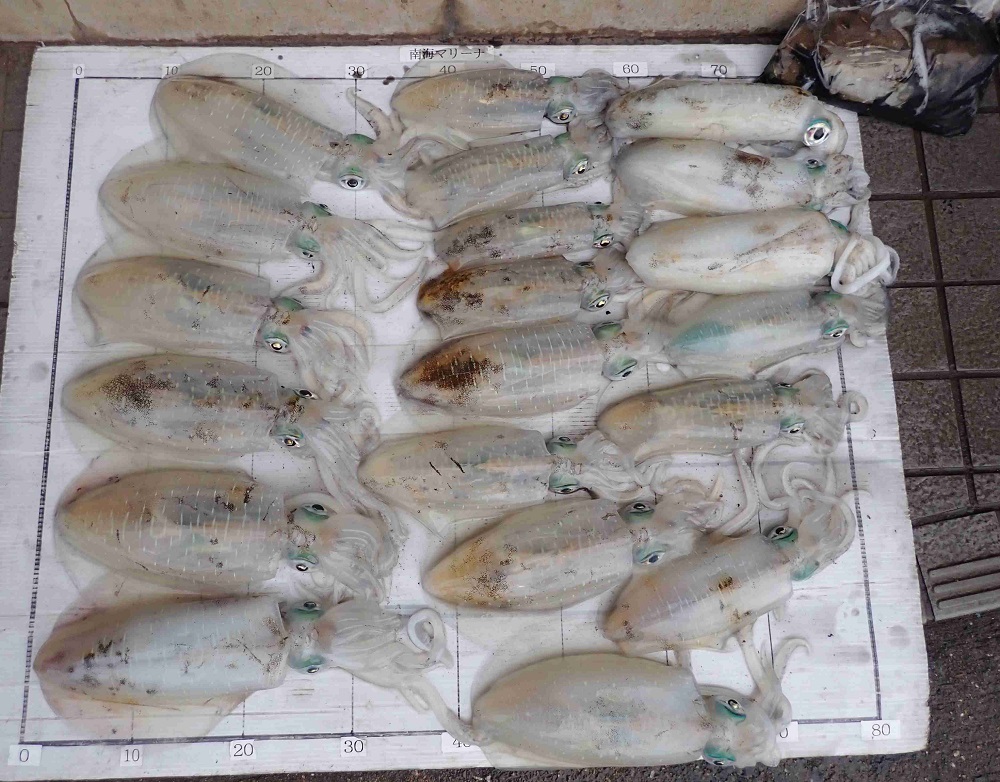 2025.11.9 心結丸さん