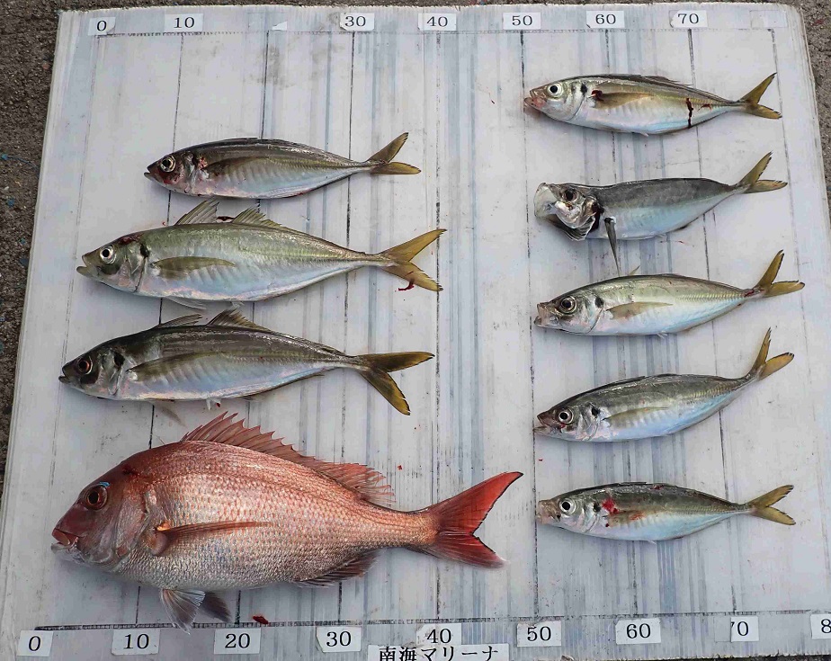 2025.12.10 cleverさん