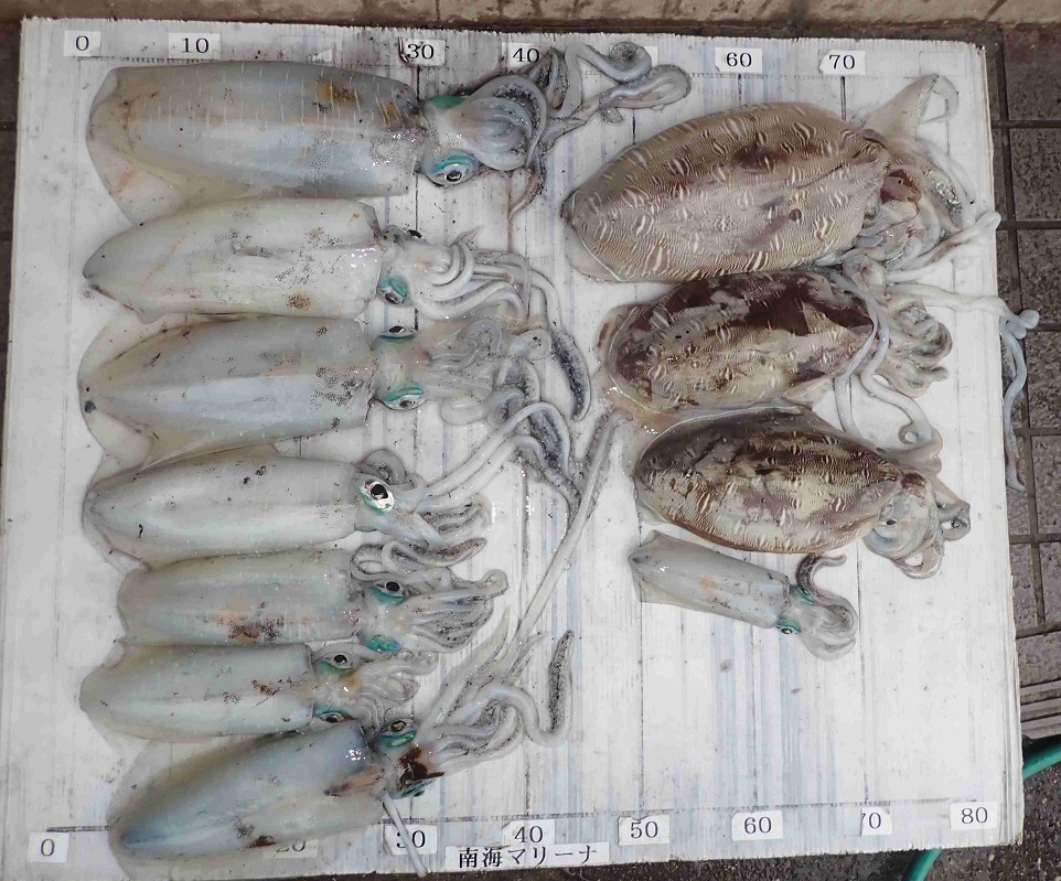 2025.12.24 ｽﾇｰﾋﾟｰさん