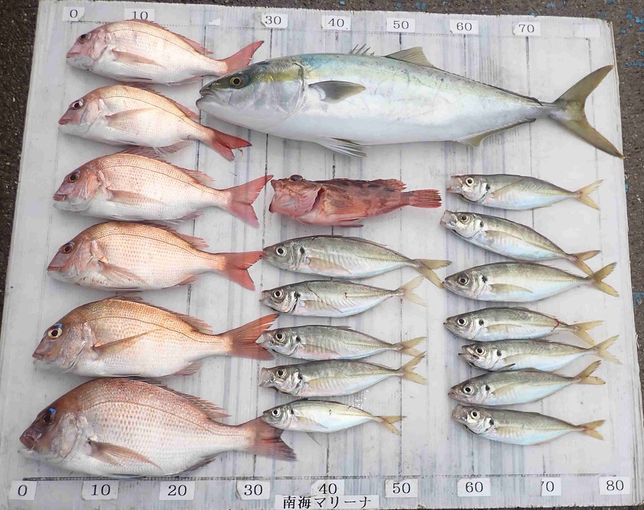 2025.12.24 cleverさん