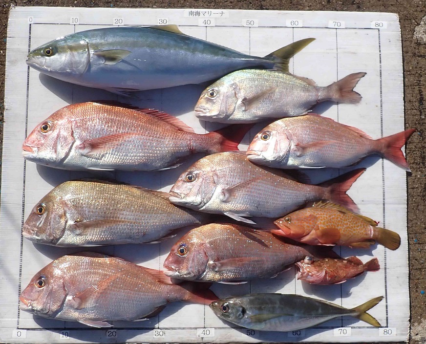 2025.12.29 やまびこ丸さん