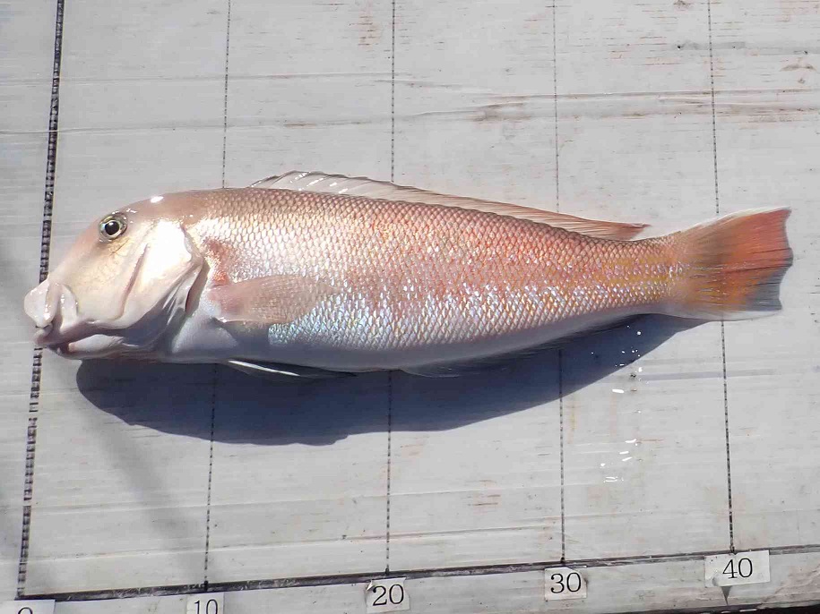 2025.12.29 cleverさん