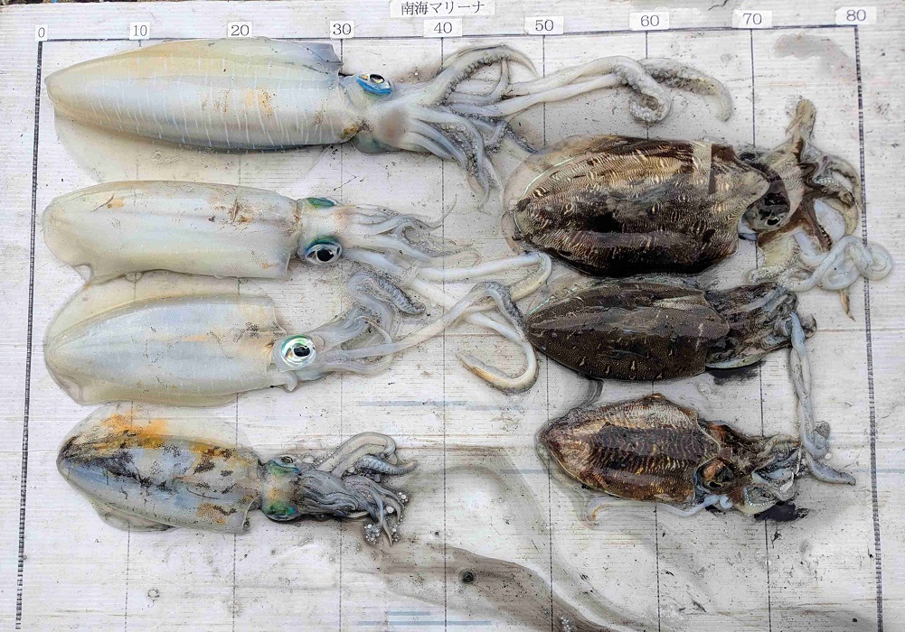 2025.12.8 ｽﾇｰﾋﾟｰさん