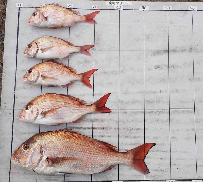 2026.1.19 PUKUさん