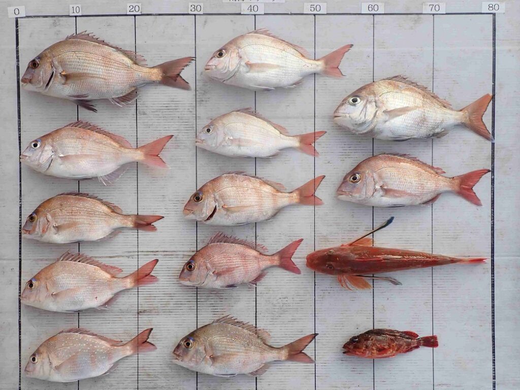 2026.1.19 ﾀｶﾅさん