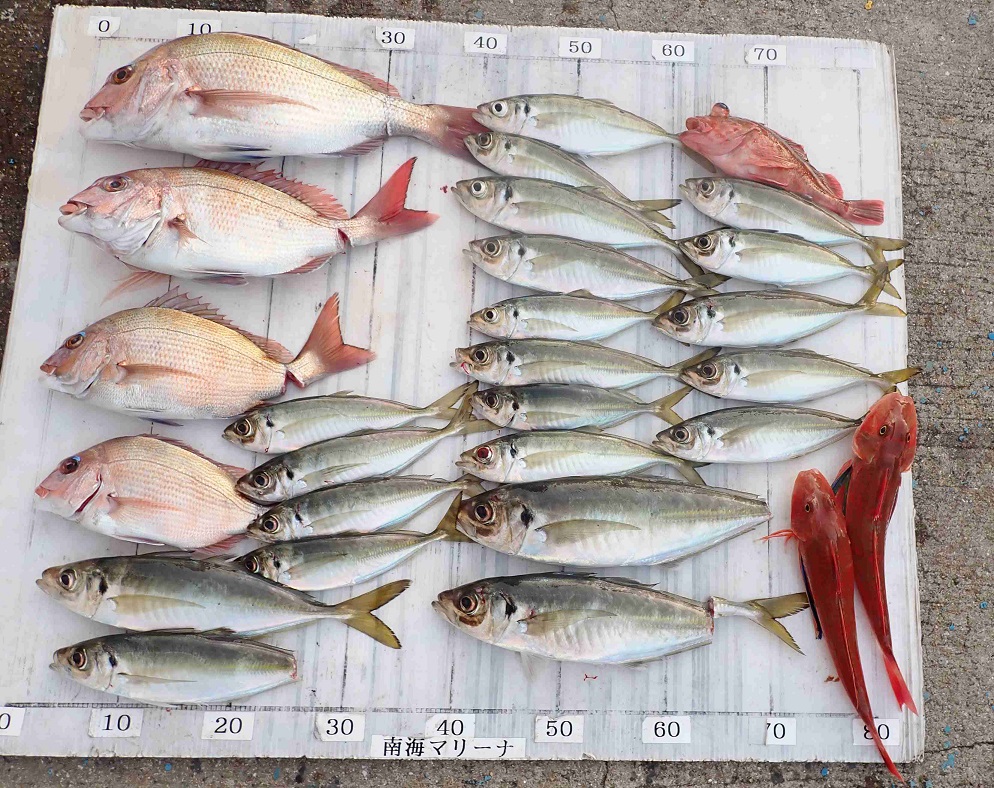 2026.1.19 cleverさん