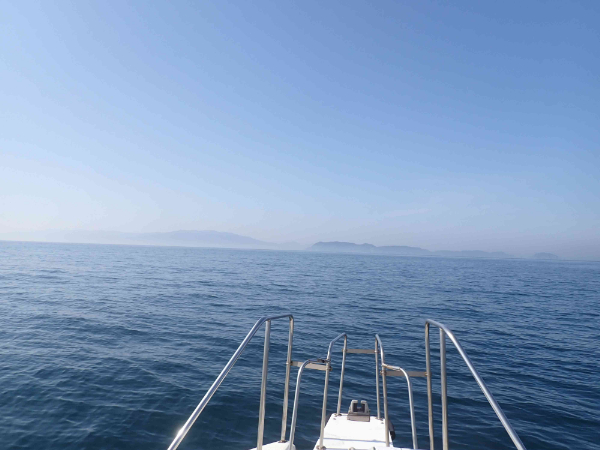 2月20日（金）今日の一言コメント