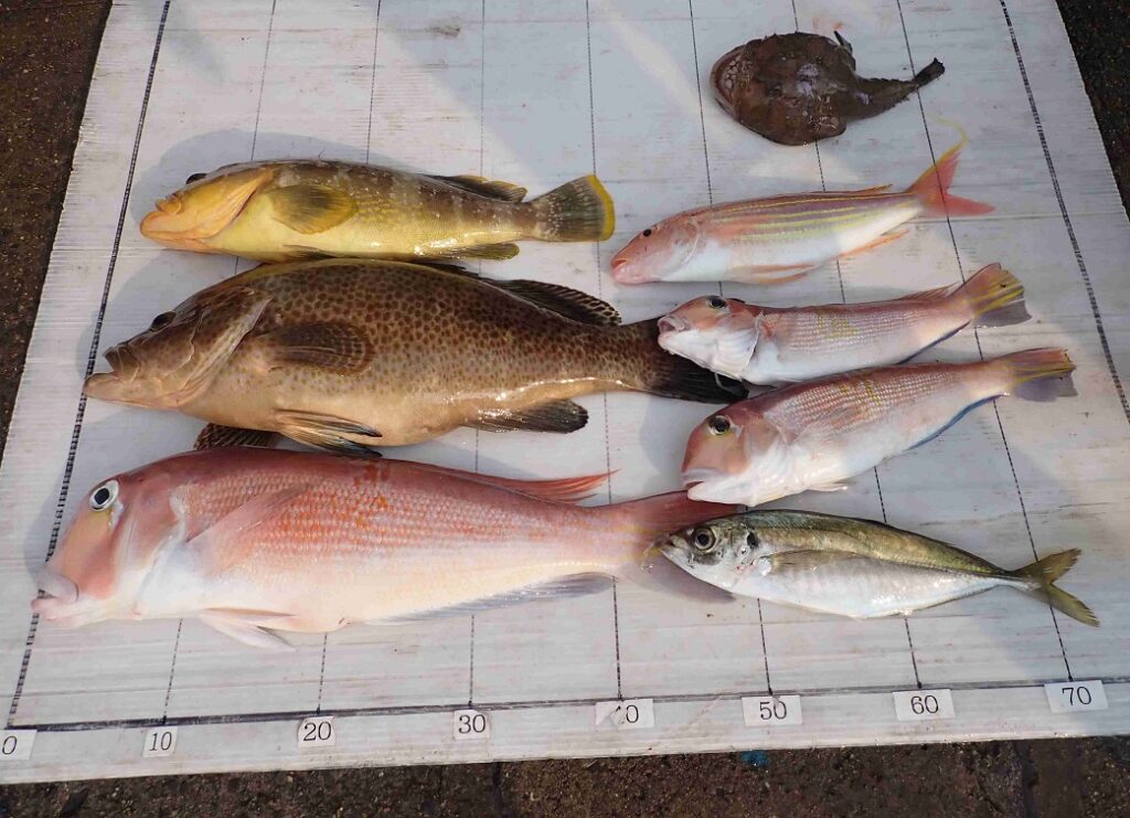 2026.3.29 組長丸Ⅳさん