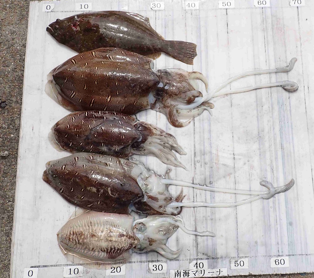 2026.3.6 cleverさん