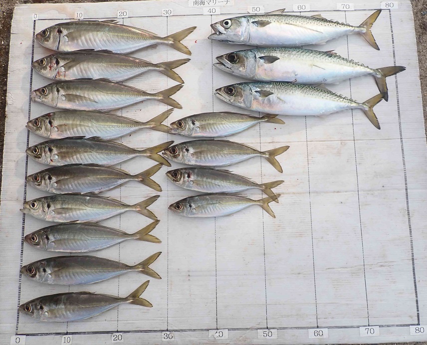 2026.3.9 cleverさん