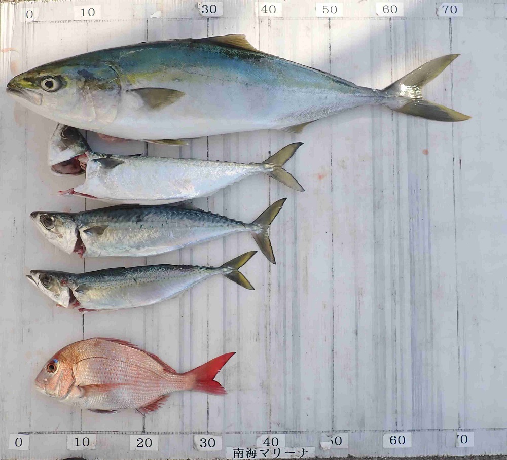 2026.4.11 PUKUさん