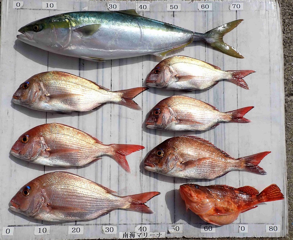 2026.4.12 心結丸さん