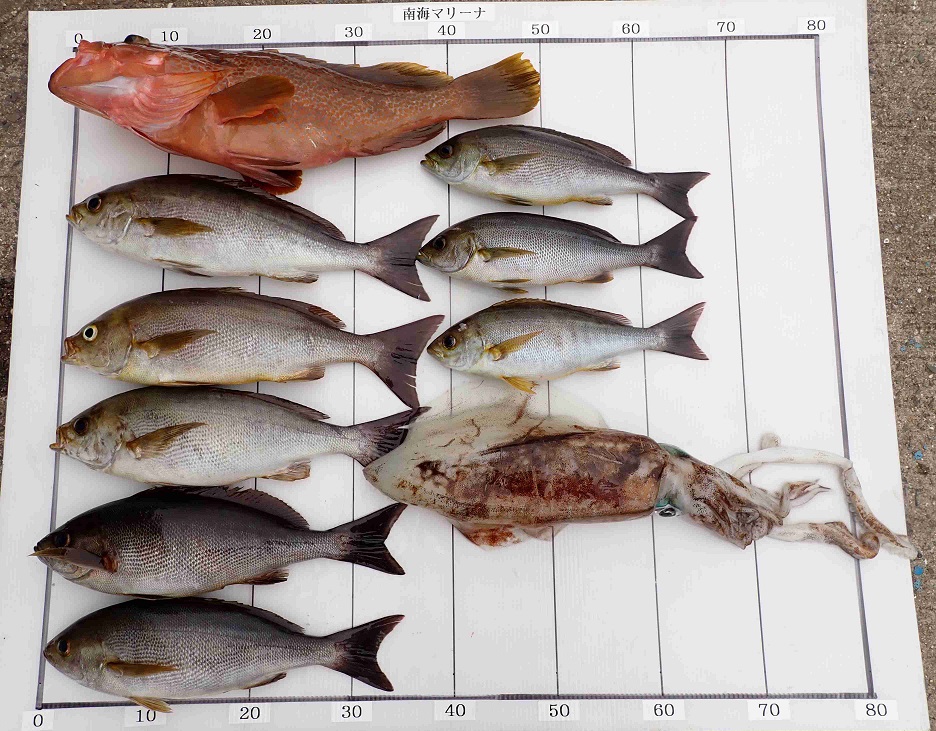 2026.4.22 ｽﾇｰﾋﾟｰさん