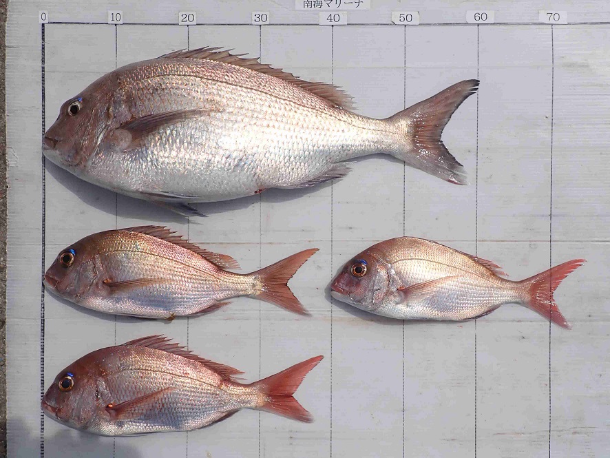 2026.4.25 ﾀｶﾅさん