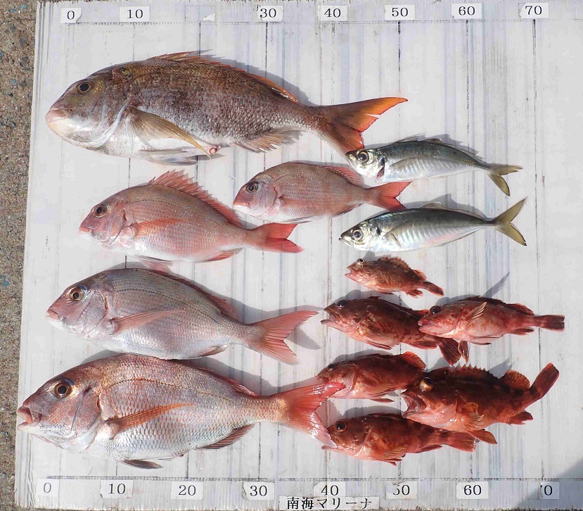 2026.4.25 Sunny voyageさん