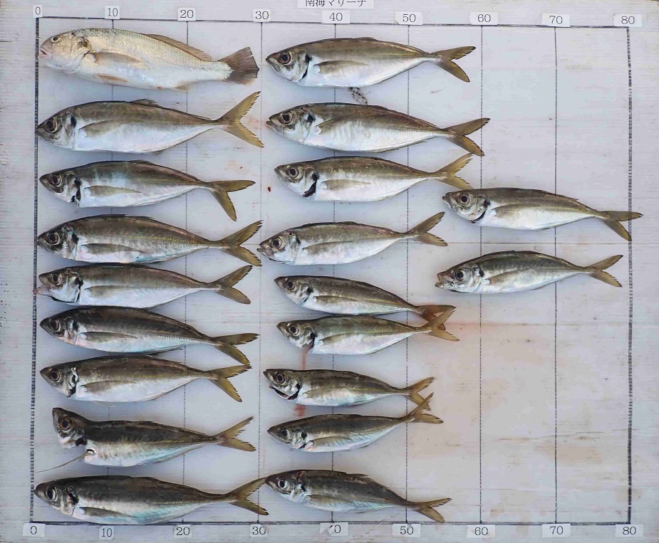 2026.4.25 PAUHIさん