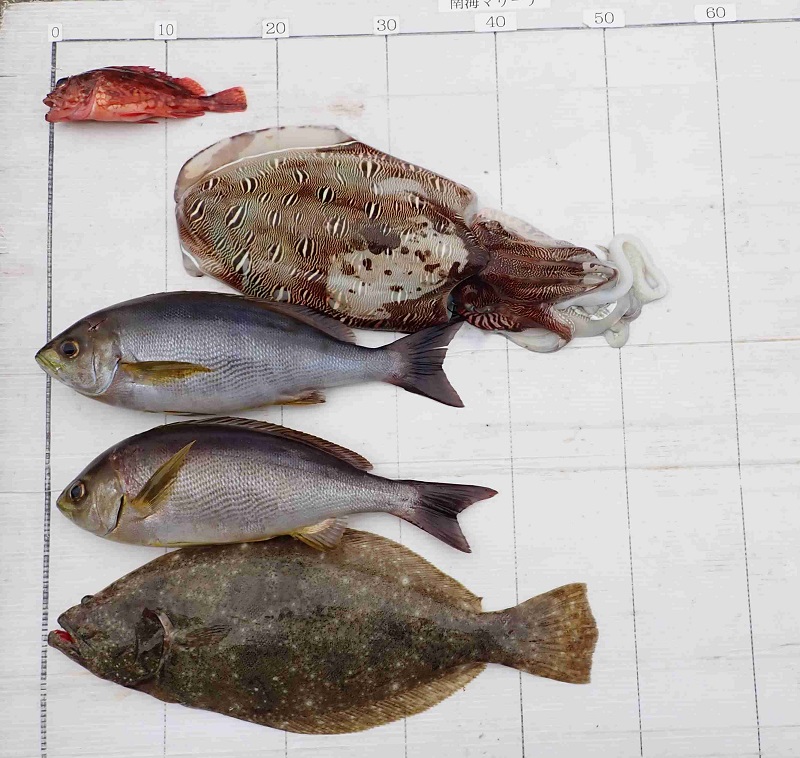 2026.4.26 ｽﾇｰﾋﾟｰさん