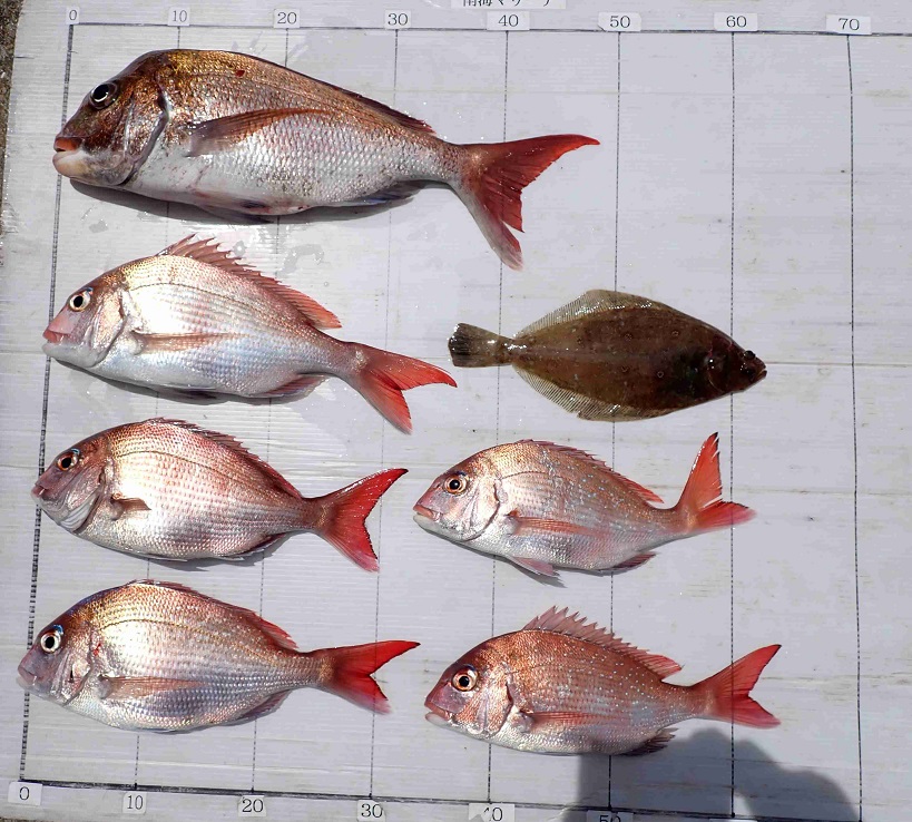 2026.4.26 ちびﾗﾒｰﾙさん